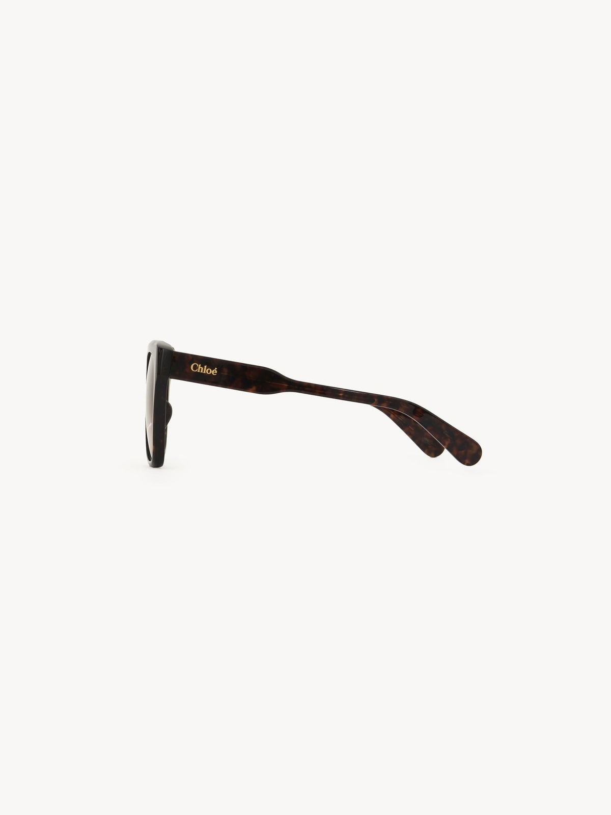 Dark Havana SUNGLASSES - Dark Havana