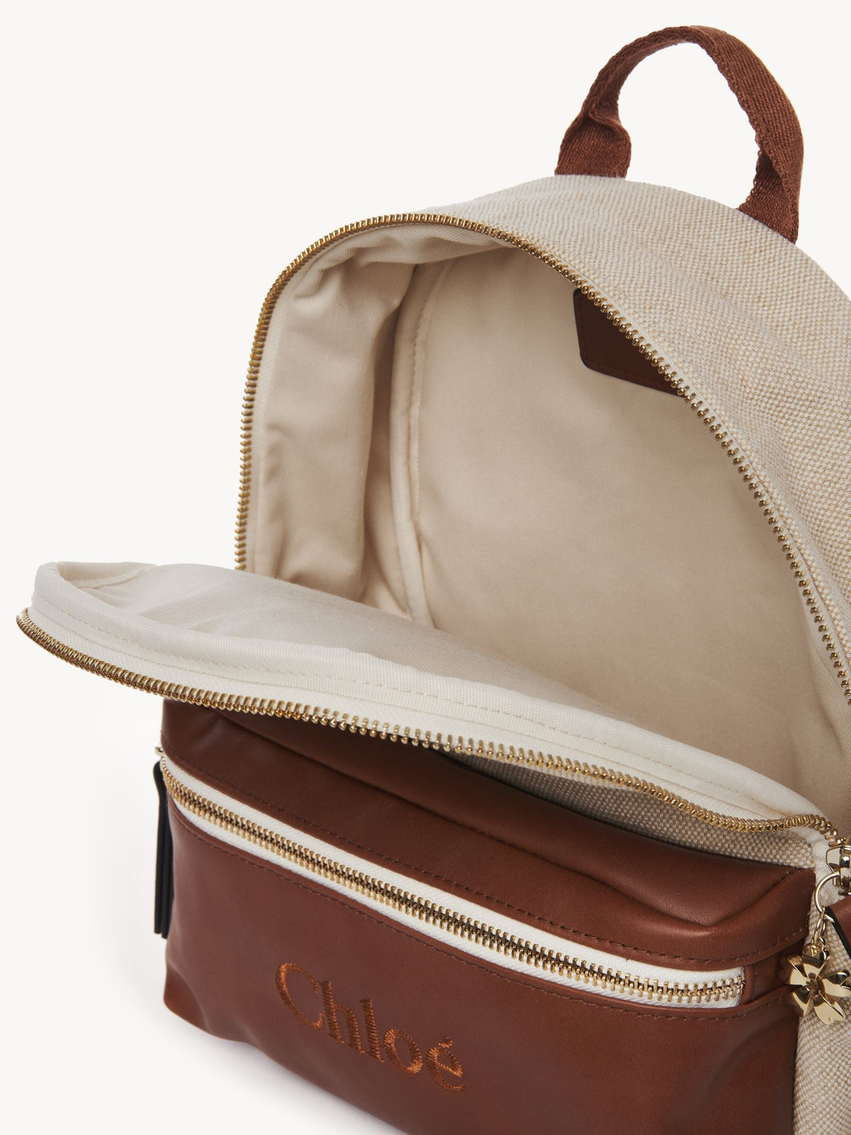 Chocolate Brown BACK - Chocolate Brown