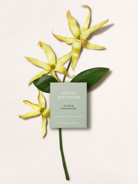 BASEPLUS_ADF GIFTSET Eau de Parfum 50ML+10ML+10ML