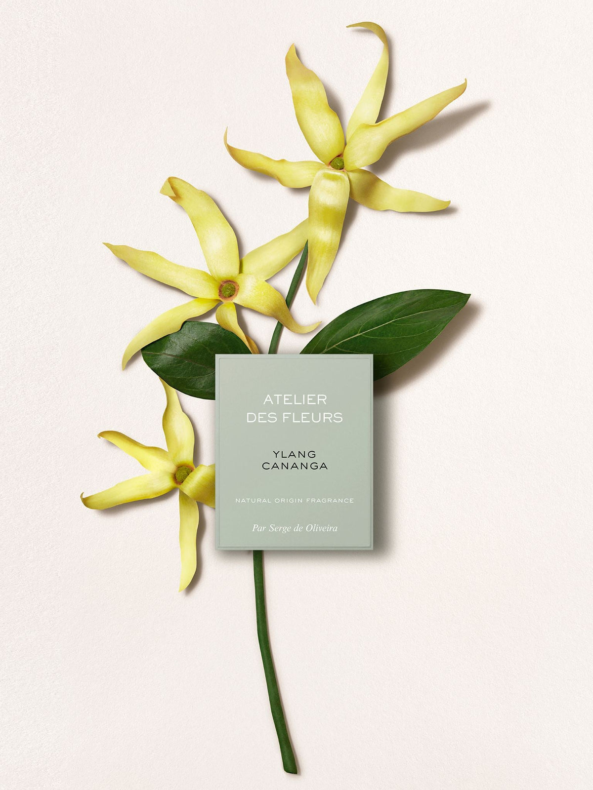 BASEPLUS_ADF GIFTSET Eau de Parfum 50ML+10ML+10ML