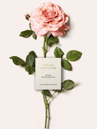 ADF GIFTSET 5X10ML -