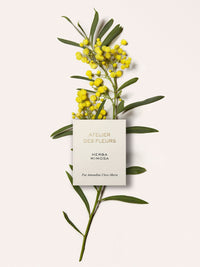 ADF GIFTSET 5X10ML -