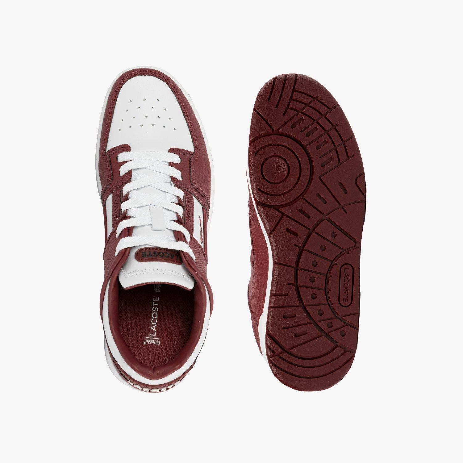 Sneakers Court Cage en cuir - White & Burgundy