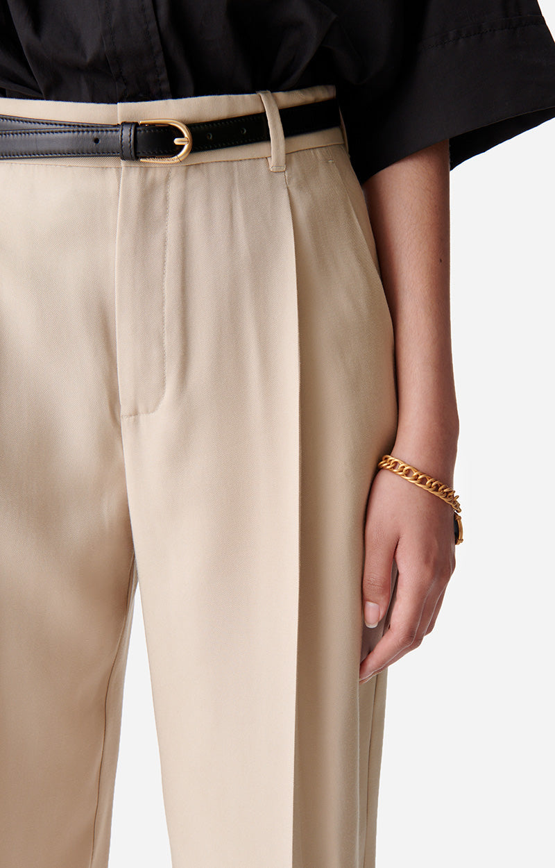 Pantalon à pinces Dude - Taupe