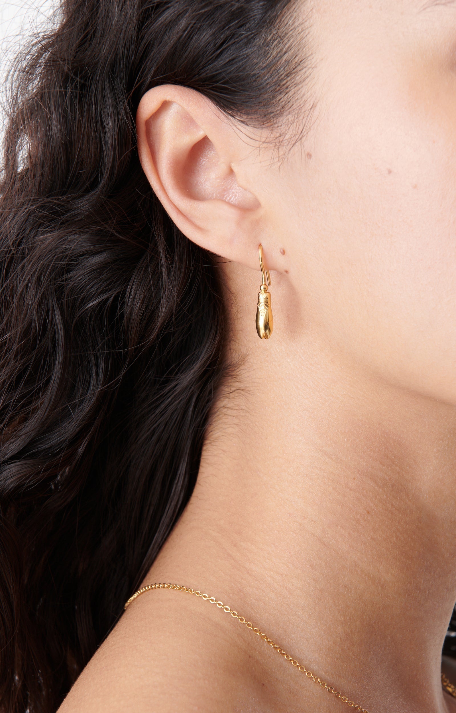 Boucles d'oreilles Cigale en laiton - Or
