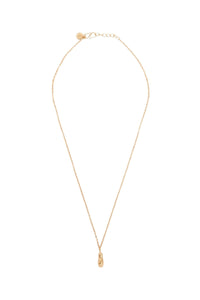 Collier médaillon cigale en laiton - Or
