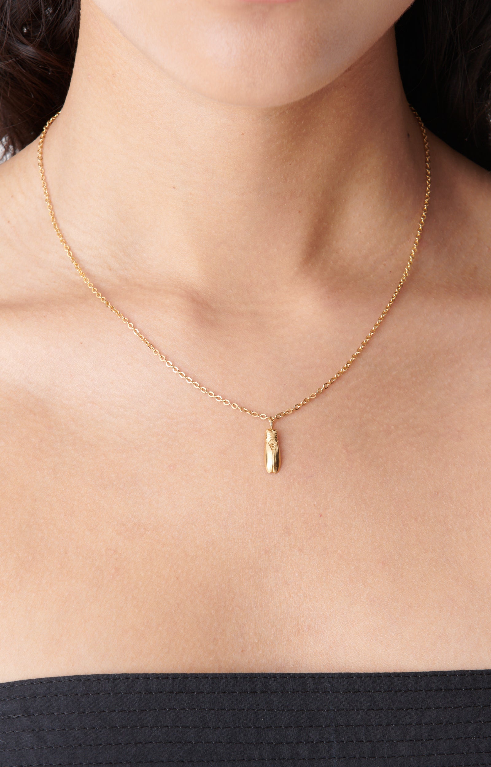 Collier médaillon cigale en laiton - Or