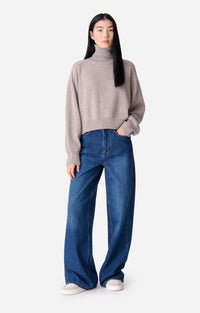 Pull Col-Roulé Dolmia