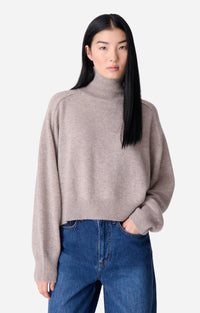 Pull Col-Roulé Dolmia