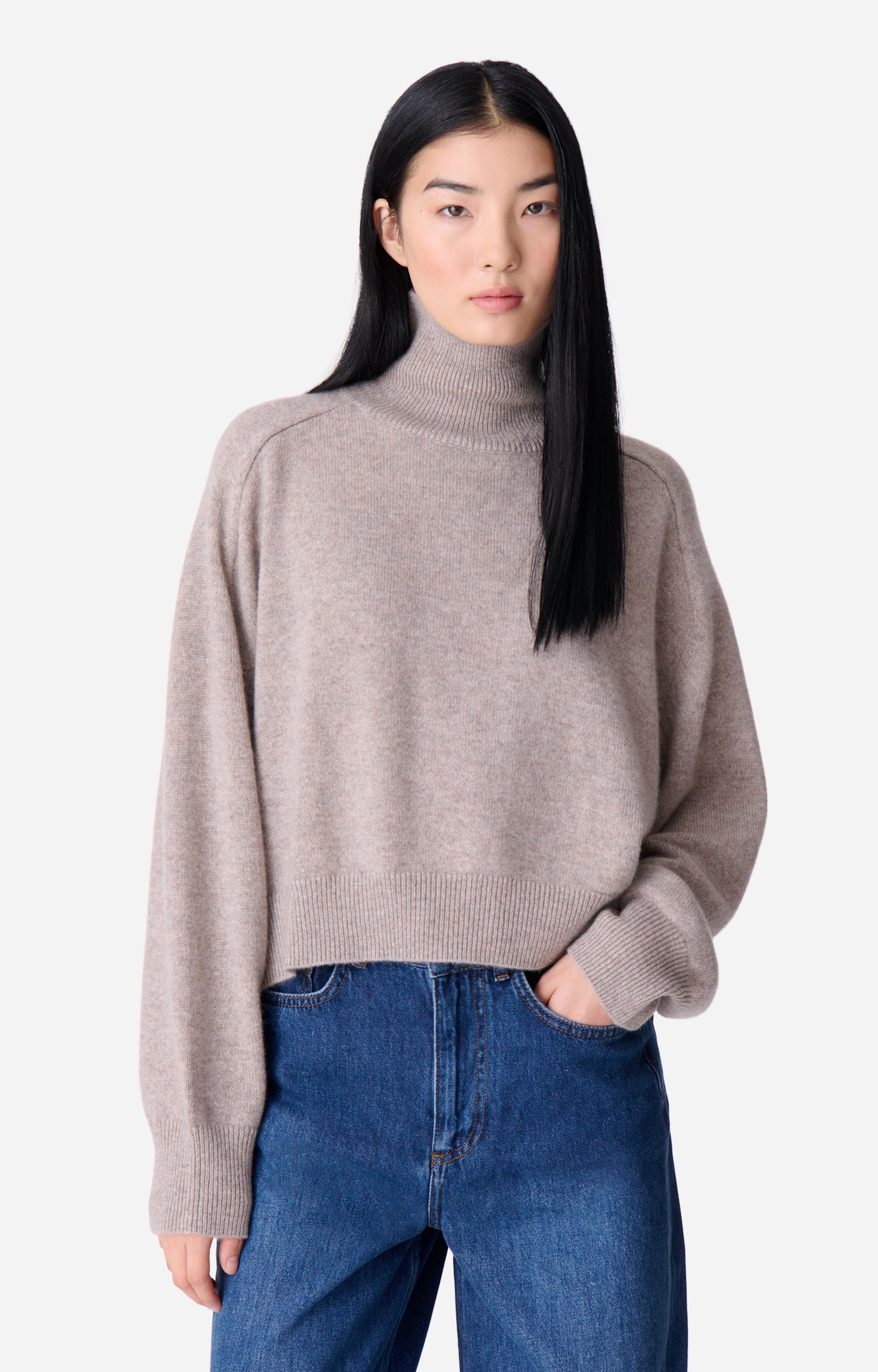 Pull Col-Roulé Dolmia