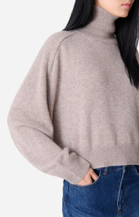 Pull Col-Roulé Dolmia