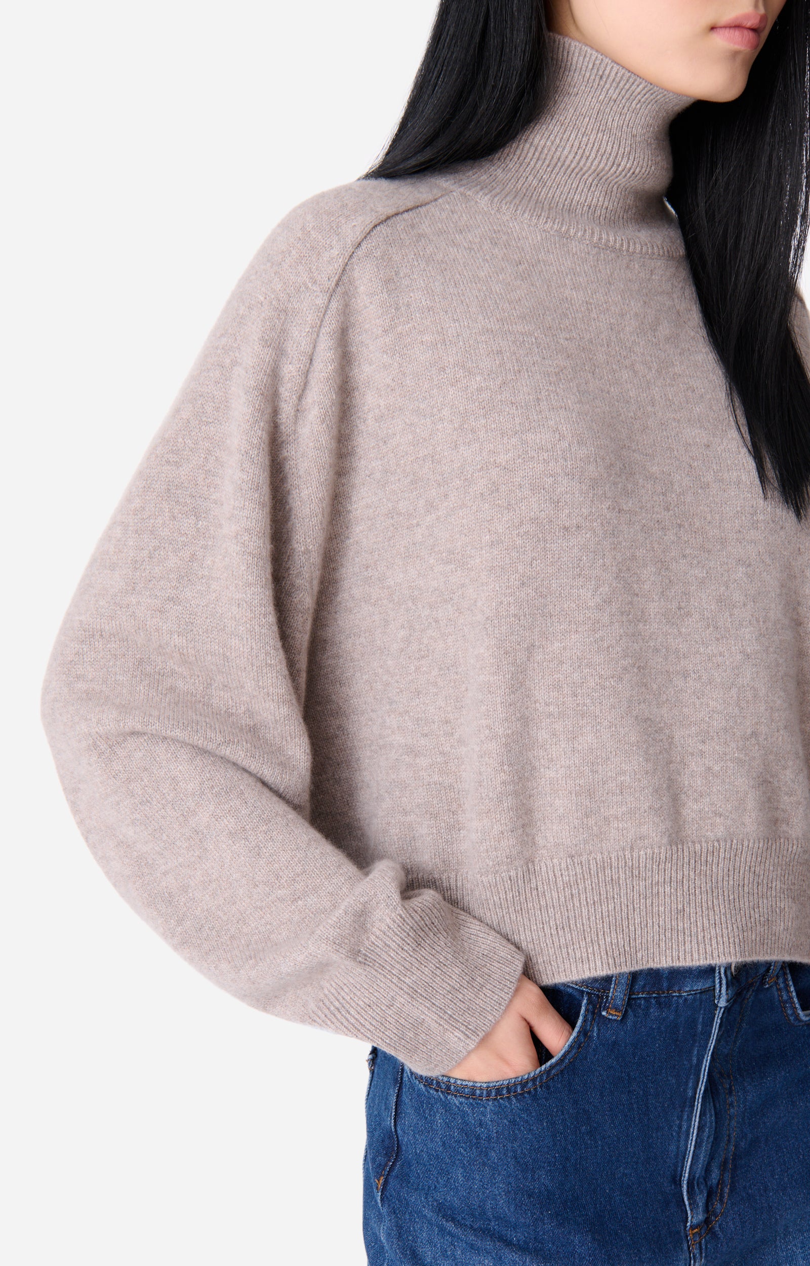 Pull Col-Roulé Dolmia