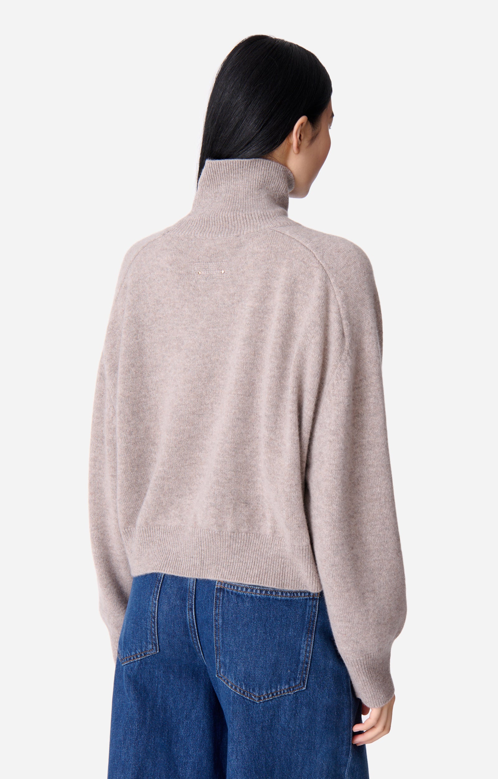 Pull Col-Roulé Dolmia