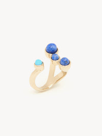 Multicolor RING - Multicolor