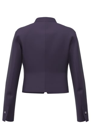 DARK PURPLE // BLAZERS JEVOKA