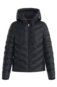 DARK BLUE // CASUAL JACKETS C_PALATORI