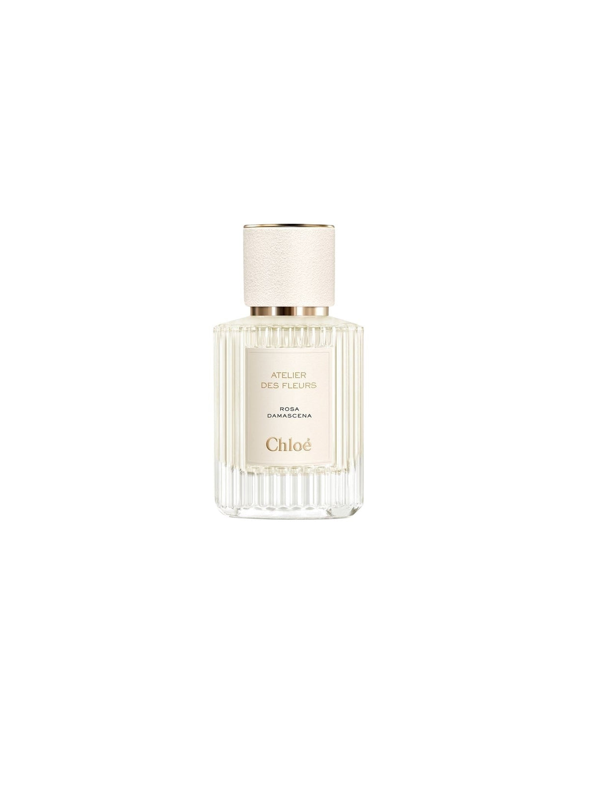 BASEPLUS_EAU DE PARFUM 50ML