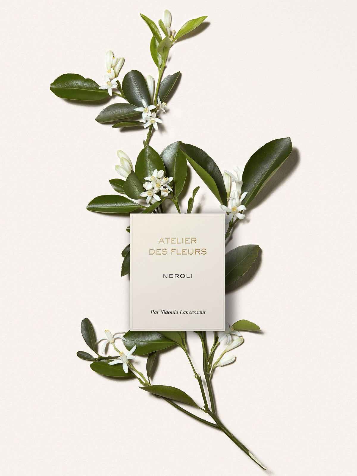 EAU DE PARFUM 50ML -