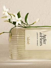 BASEPLUS_EAU DE PARFUM  50ML