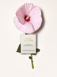 BASEPLUS_EAU DE PARFUM 50ML