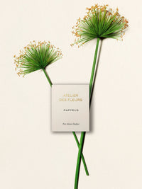 BASEPLUS_EAU DE PARFUM 50ML