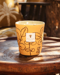 BOUGIE FOLIA GUARRIGUE