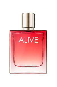 ASSORTED PRE-PACK // FRAGRANCE NOT ASSIGNED