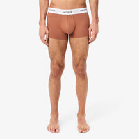 Set of 3 short stretch boxer shorts - Latte & Piste Iberis