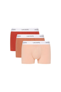 Set of 3 short stretch boxer shorts - Latte & Piste Iberis