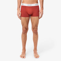 Set of 3 short stretch boxer shorts - Latte & Piste Iberis