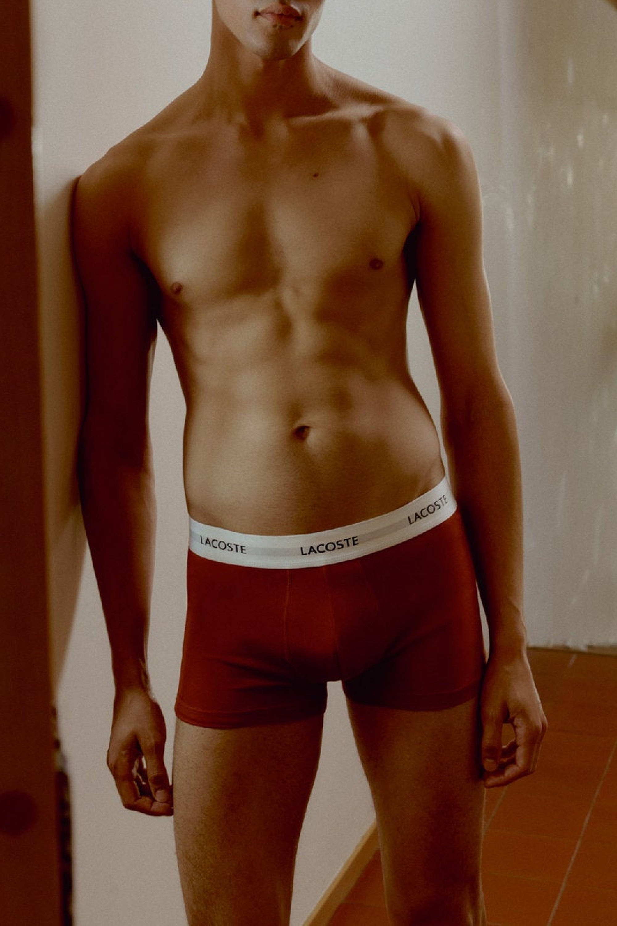 Set of 3 short stretch boxer shorts - Latte & Piste Iberis