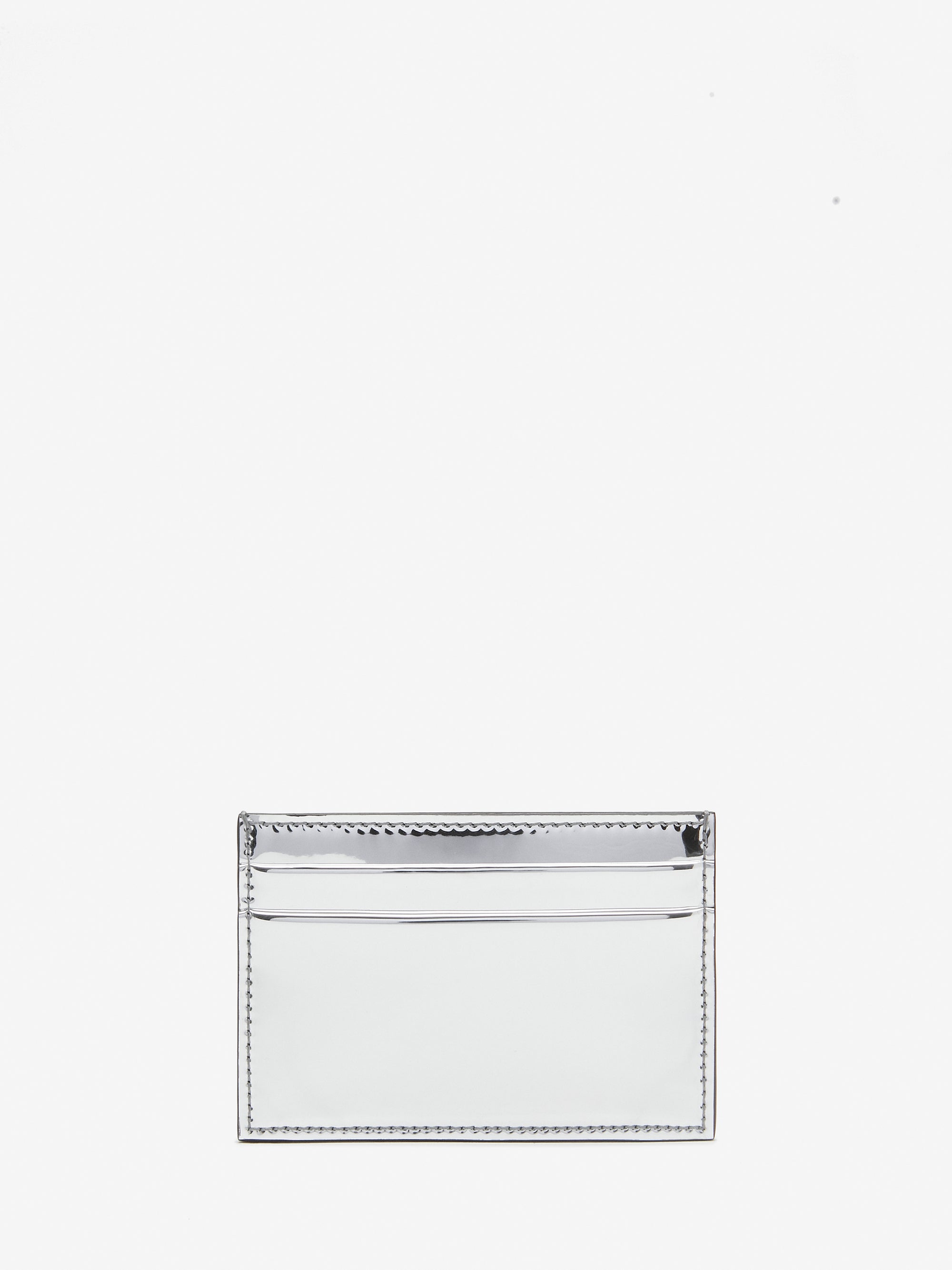 SILVER Small Leathergoods - SILVER