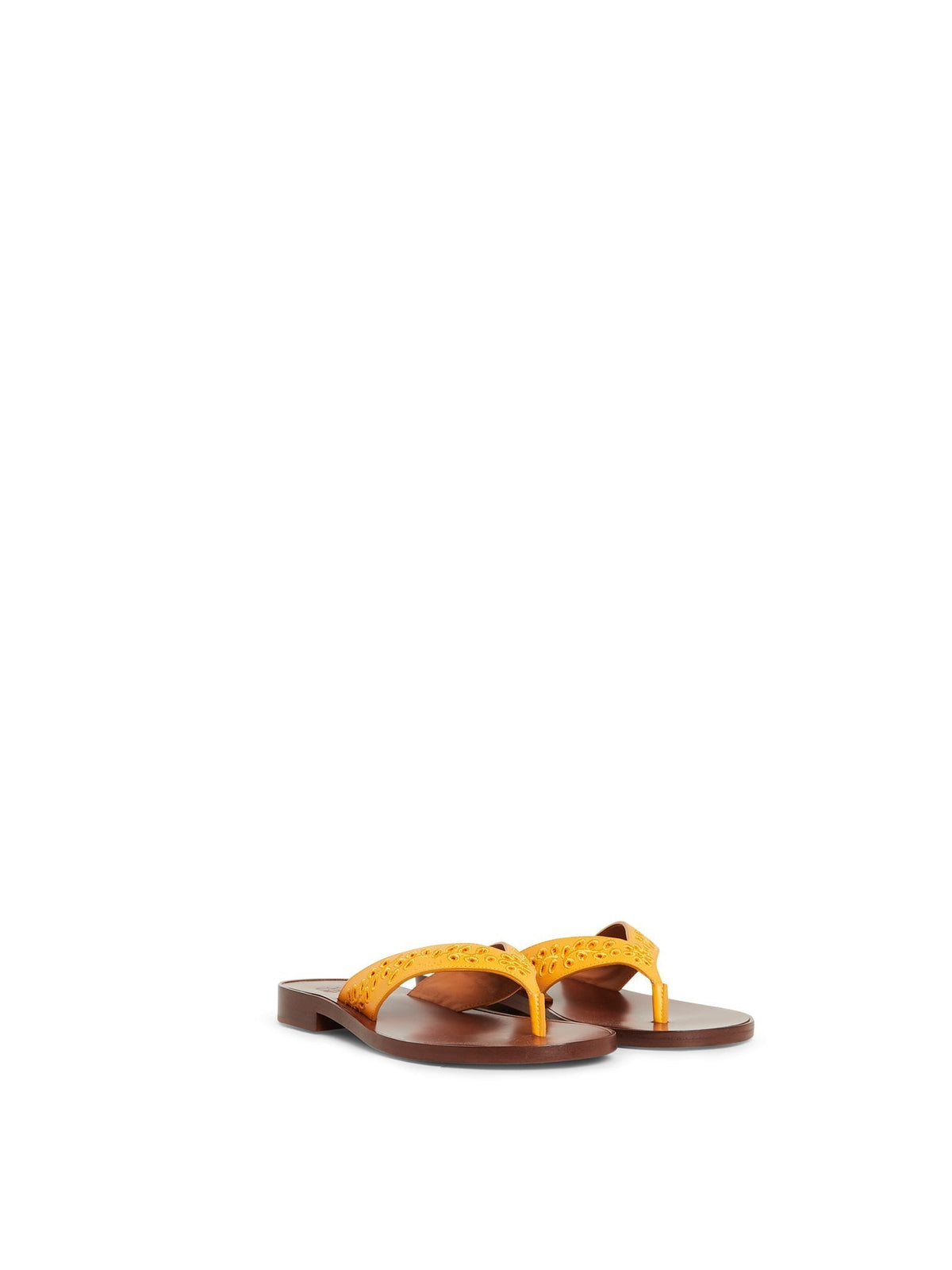 Dark Honey FLAT SANDALS - Dark Honey