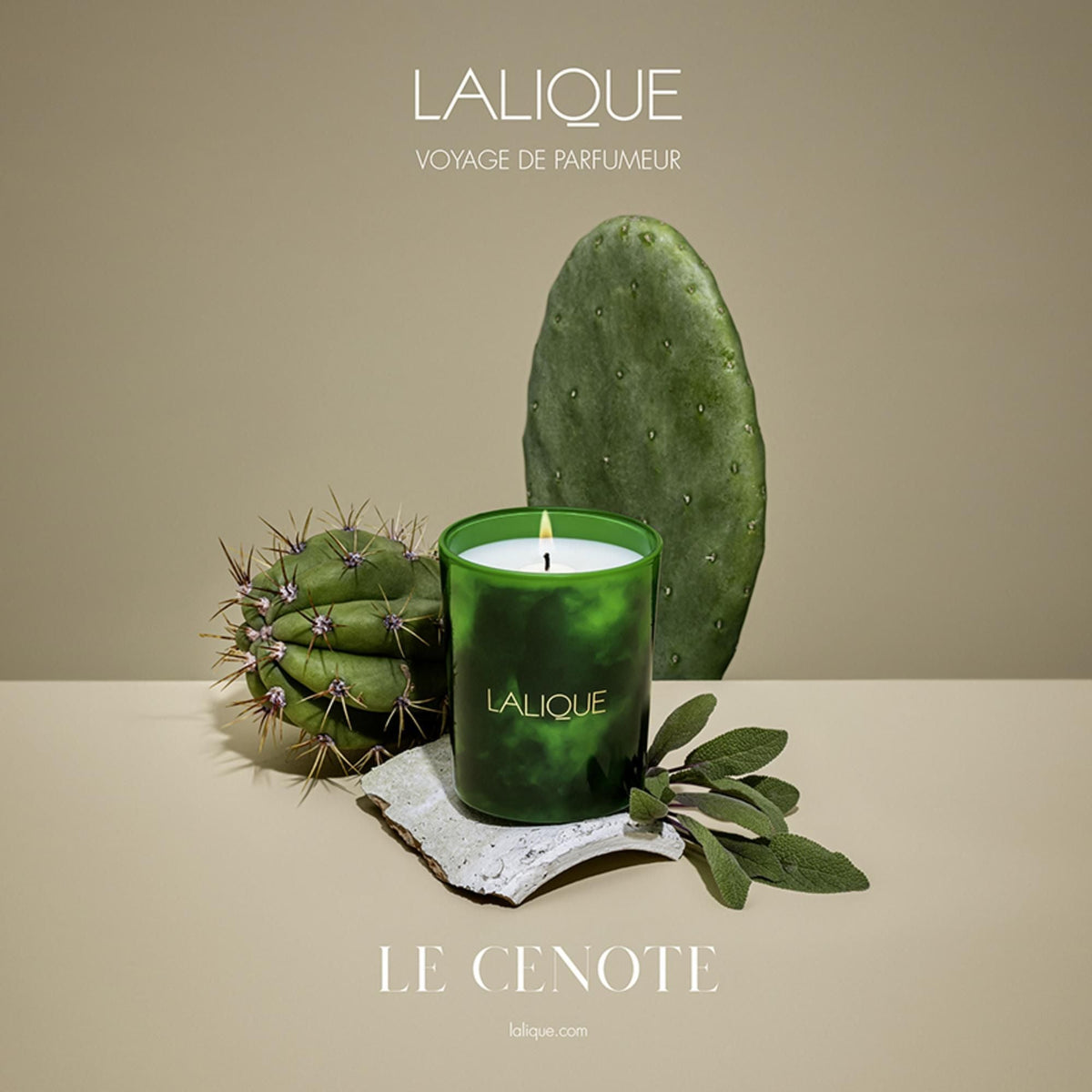 Bougie parfumée Le Cénote - Tulum