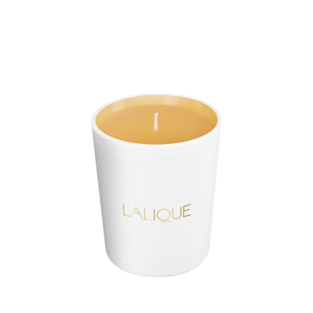 Bougie Parfumée Voyage de Parfumeur
