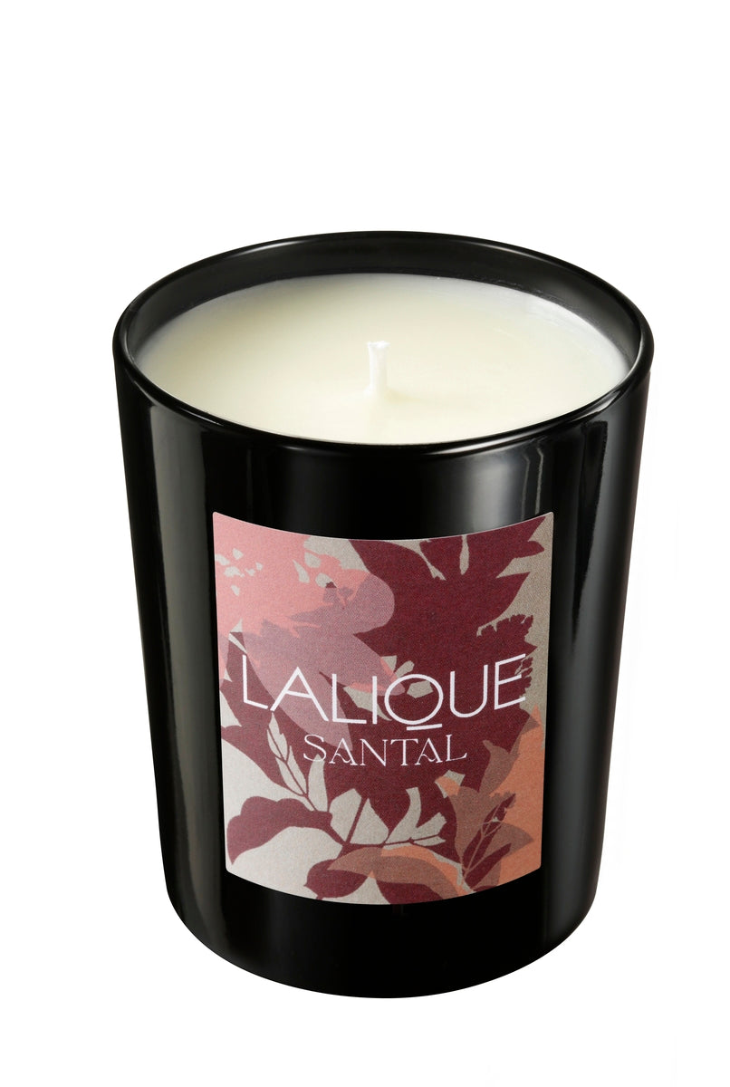 Bougie Parfumée Voyage de Parfumeur