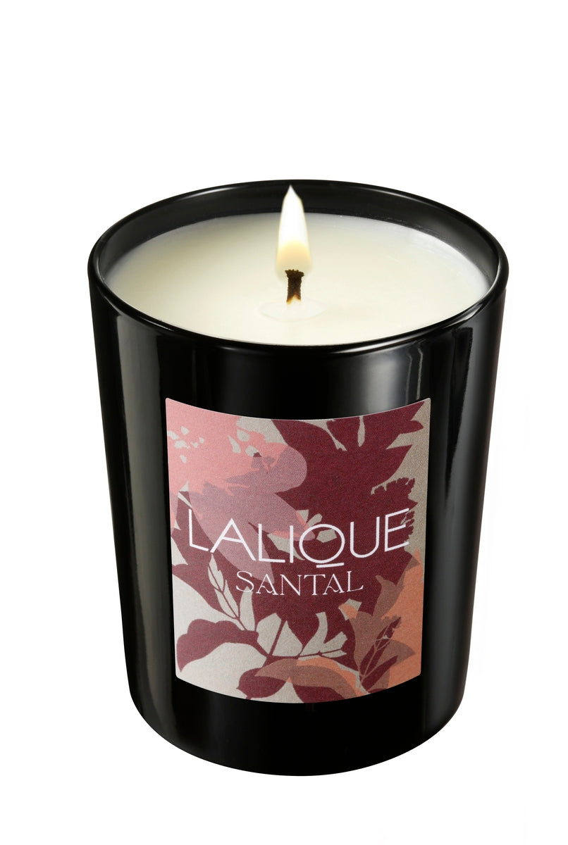 Bougie Parfumée Voyage de Parfumeur