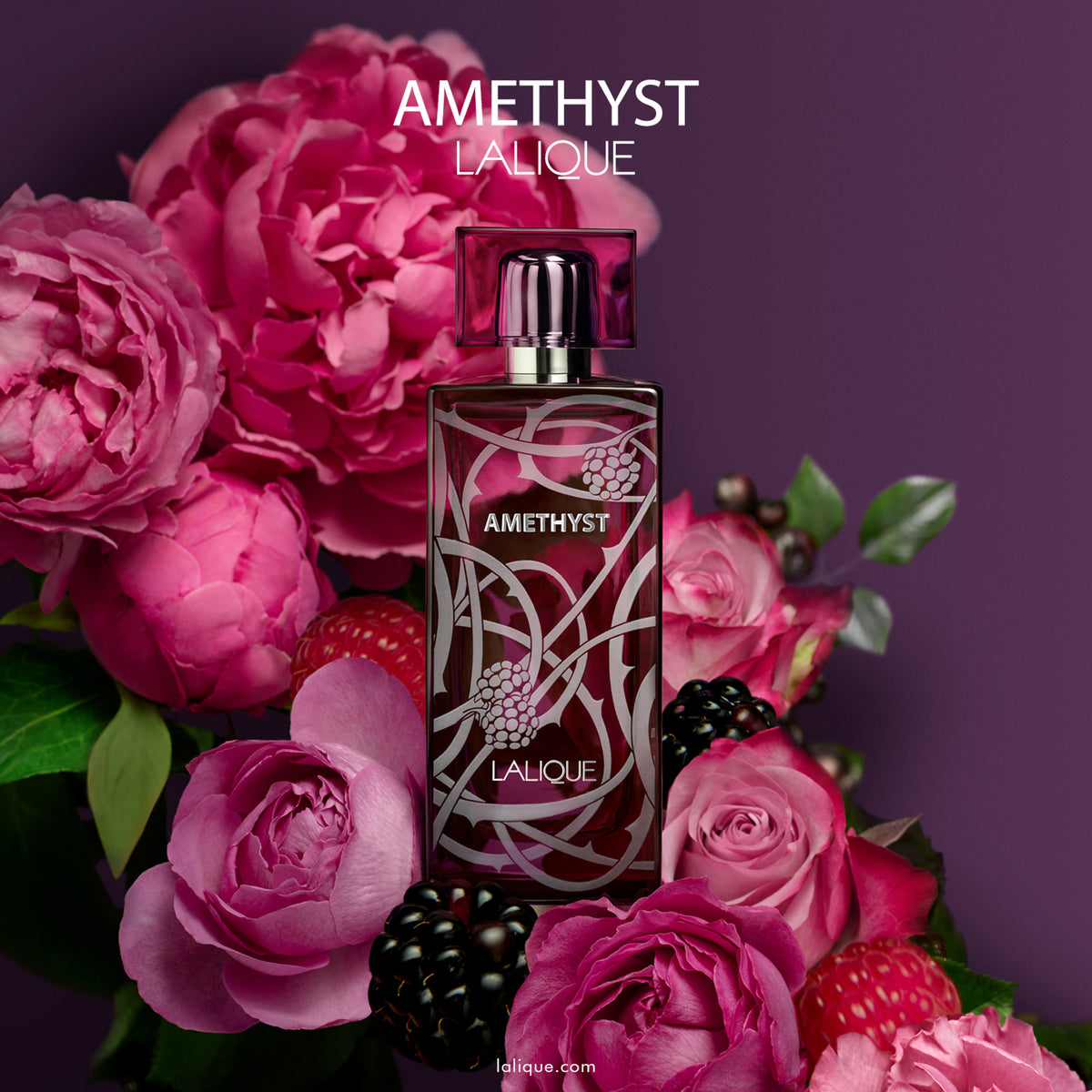 Coffert parfum Amethyst - Amethyst