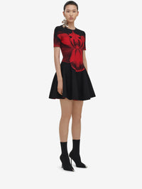 BLACKRED RTW - BLACKRED