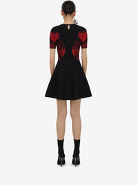 BLACKRED RTW - BLACKRED