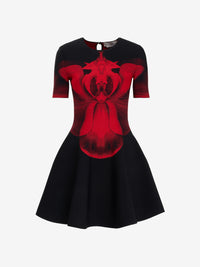 BLACKRED RTW - BLACKRED