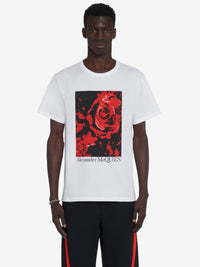 WHITERED RTW - WHITERED