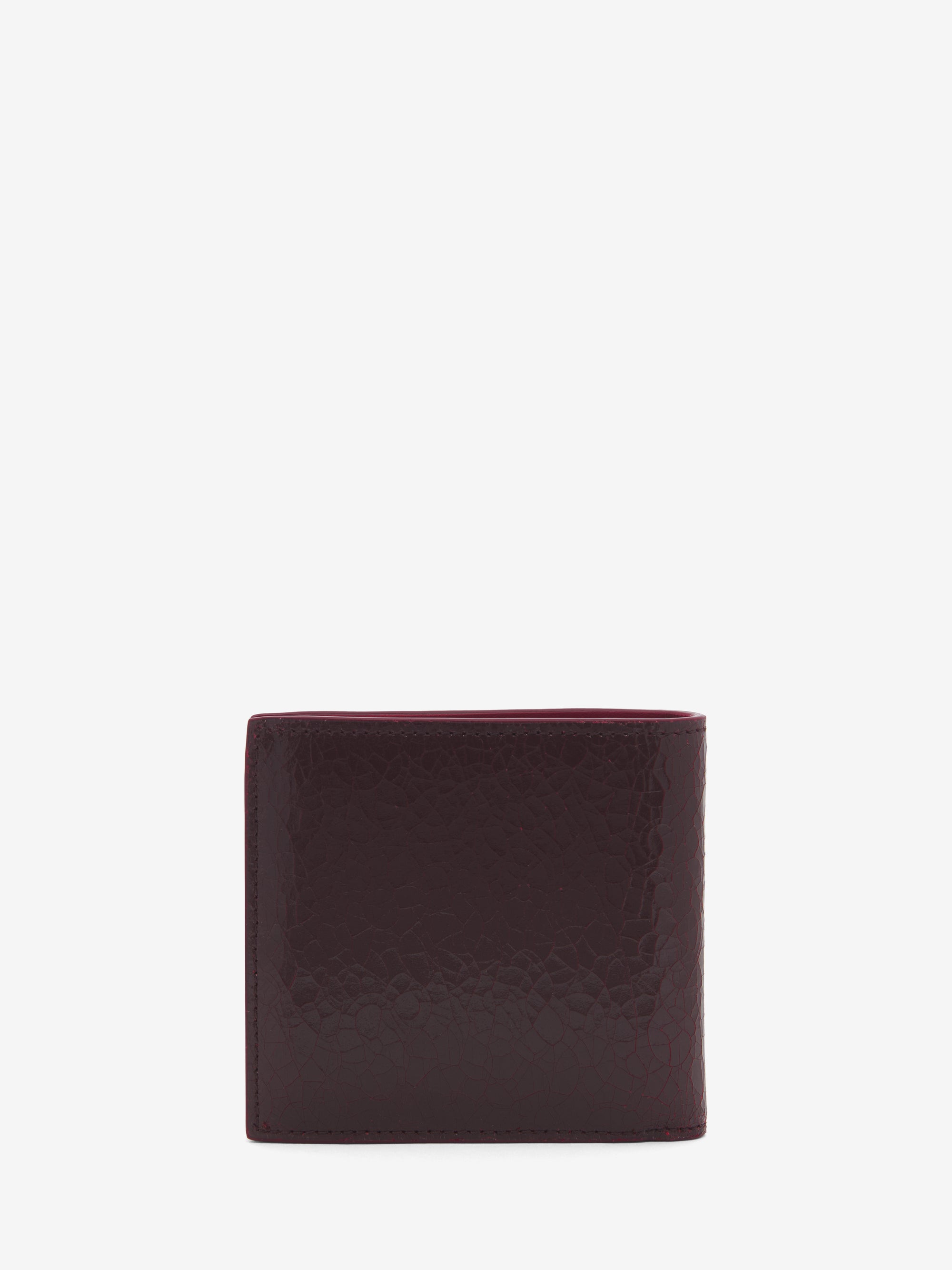 CRANBERRYREDSILVER Small Leathergoods - CRANBERRYREDSILVER