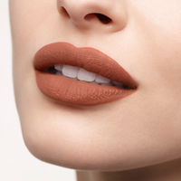 Rouge à lèvres Velvet Matte Beige Very Gil - Beige Very Gil 015M