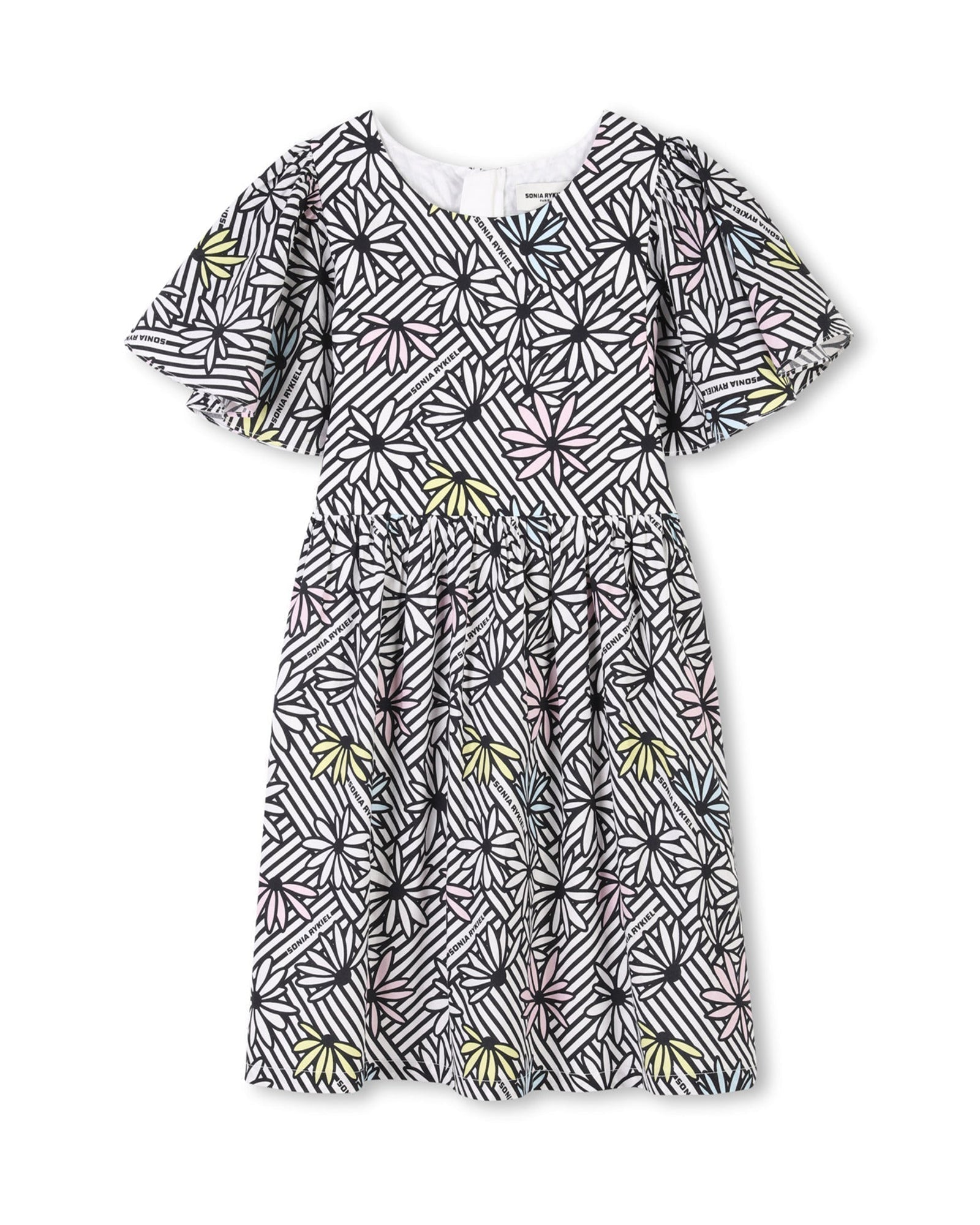 ROBE MANCHES COURTES
