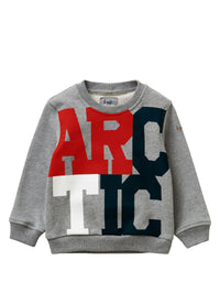 Sweatshirt with “artic” - grey