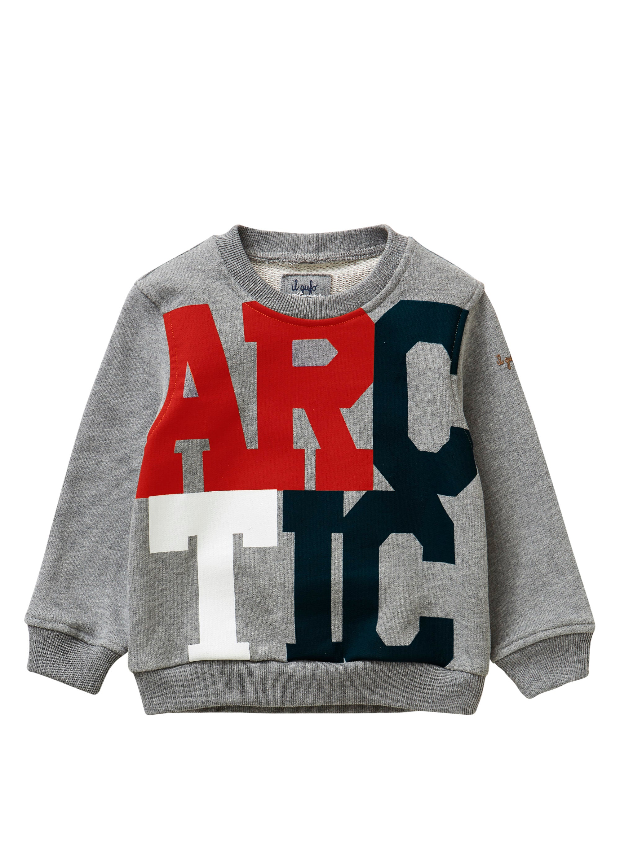 Sweatshirt with “artic” - grey