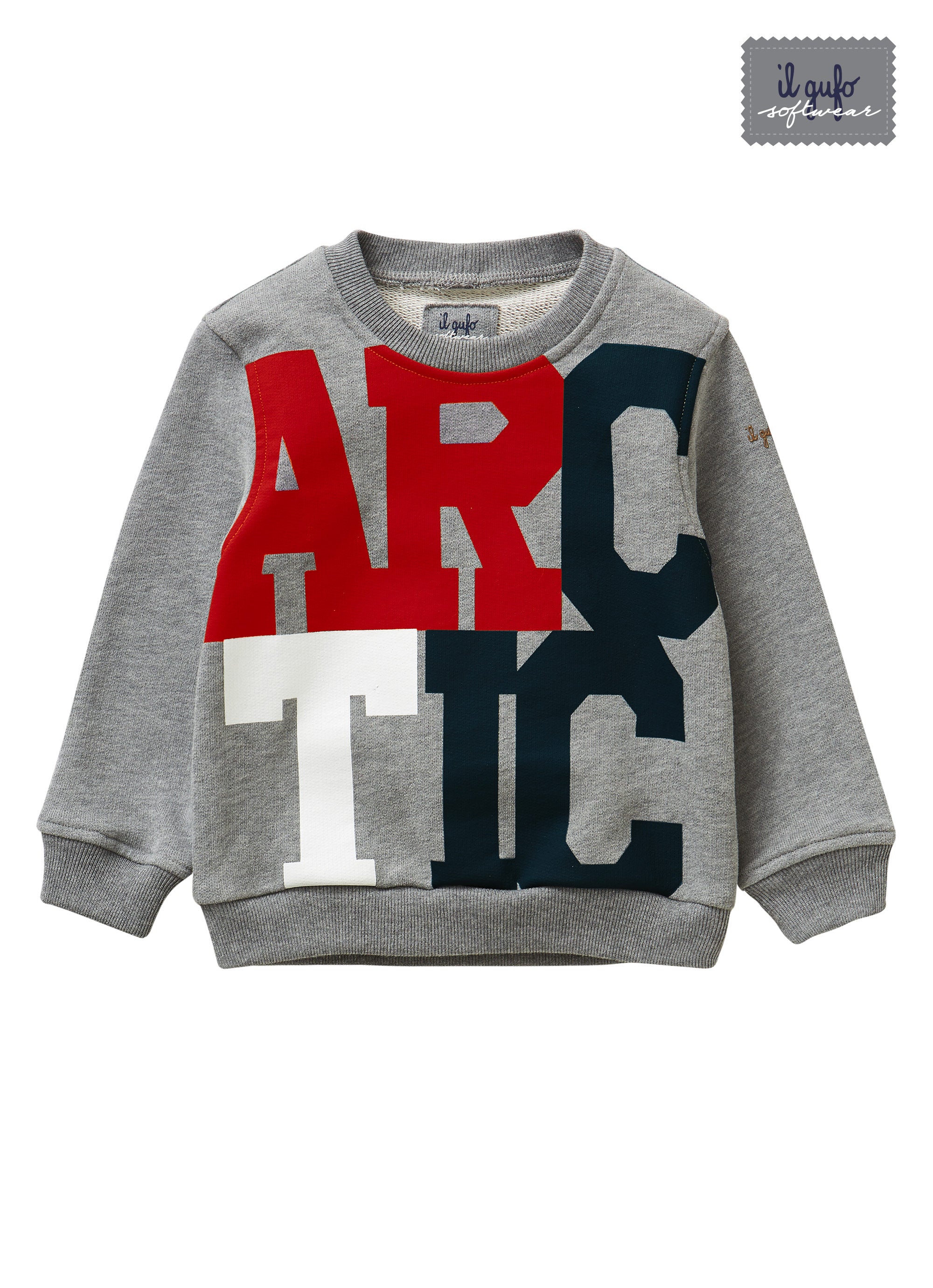 Sweatshirt with “artic” - grey
