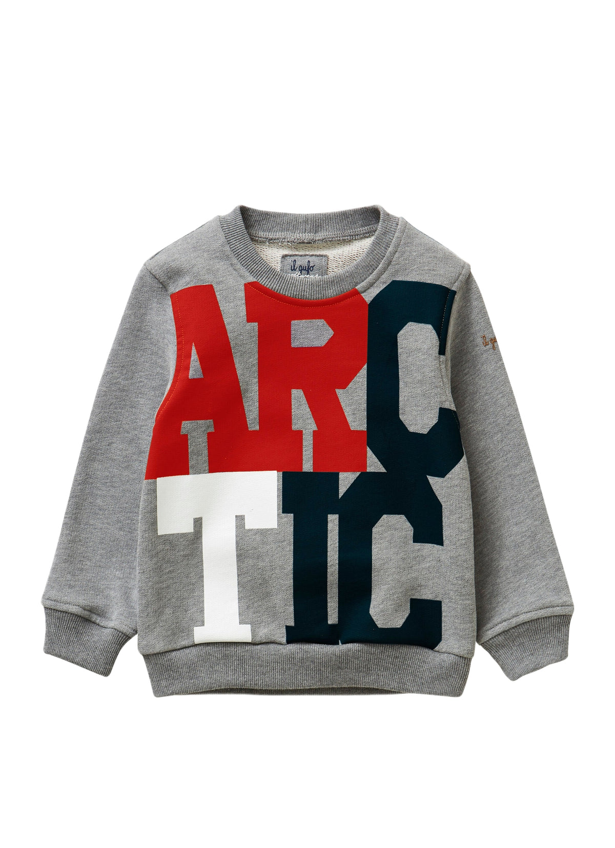Sweatshirt With “Artic”
