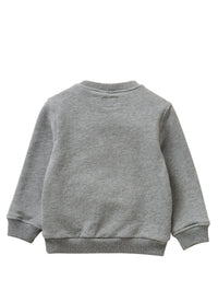 Sweatshirt with “artic” - grey